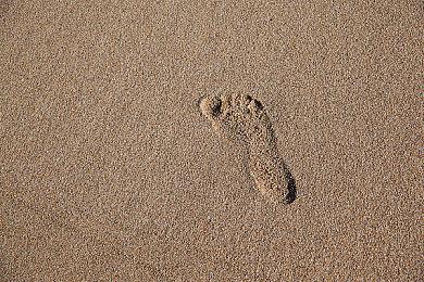 《暗黑破坏神2：重制版》Bug不断 玩家差评轰炸